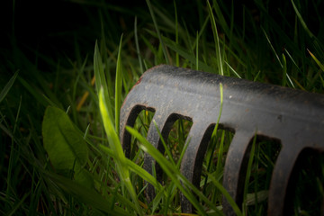 Stillstand im Garten - Rostige Harke, hohes Gras