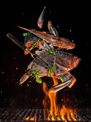 Flying raw whole fish from grill grid, isolated on black background