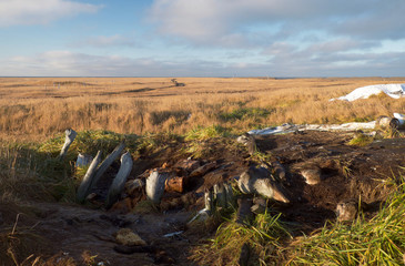 ポイント・ホープ、アラスカ
