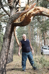 кавказский старик в лесу рядом с поваленной ураганом сосной   © sashasandro