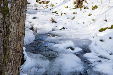 Eis im Winterbach
