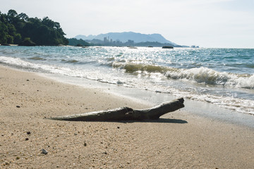 Fototapeta na wymiar Tree trunk against sun on a sand beach on tropical island in ocean