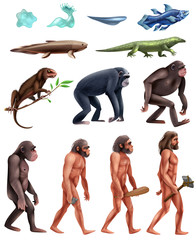 Darwin Evolution Icon Set - obrazy, fototapety, plakaty