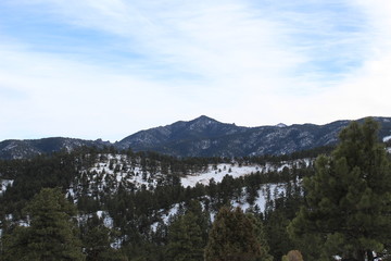 Obraz premium colorado landscape and animals