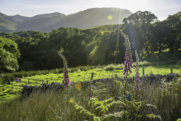 Lake district spring.