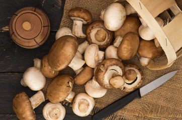 Preparation of mushrooms. Champignons, kitchen knife and saltcane.