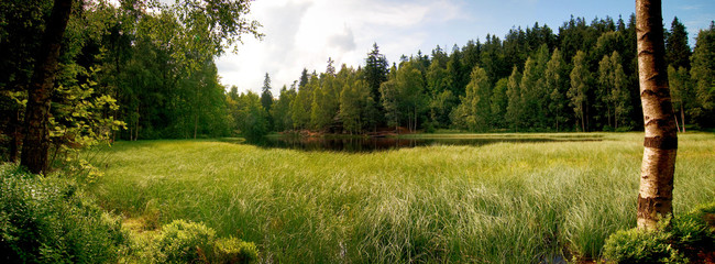 Grass overgrown pond with a dramatic cloudy sky. Panorama view of The Black Pond in national nature reserve Adrspach-Teplice Rocks, Czech republic, Europe.