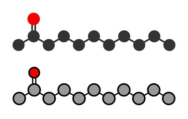 Methyl nonyl ketone (2-undecanone) insect repellent molecule.