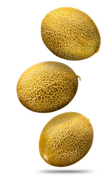 Falling cantaloupe golden melons isolated on white background with clipping path