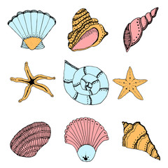 Color and hand drawing set of shells