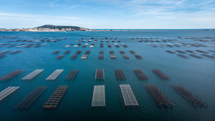 Obraz premium Vue aérienne sur la colline de Sète et les parcs à huîtres sur l'étang de Thau