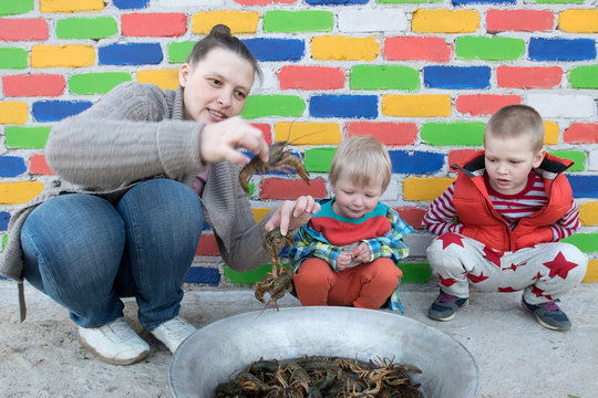 Happy mother shows crayfish caught in the river to two of their charming sons against the backdrop of multi-colored brick wall. Caucasian children and mom have a good time together.