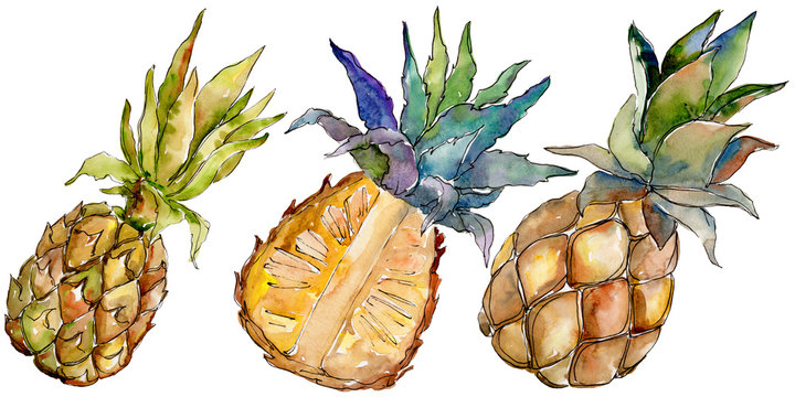Exotic pineapple healthy food in a watercolor style isolated. Full name of the fruit: pineapple. Aquarelle wild fruit for background, texture, wrapper pattern or menu.