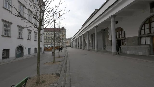 Vodnik Square and the Central Market
