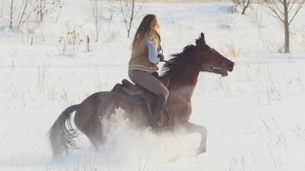 Equestrian sport - rider woman on horse galloping in snowy field