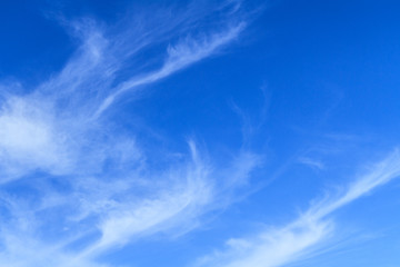 Bodies of unique delicate painterly diffused thin white cloud patterns on a blue sky nature background