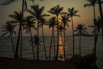 Fototapeta na wymiar Sri Lanka Sunset Palms Hill Mirissa