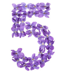 Arabic numeral 5, five, from flowers of viola, isolated on white background