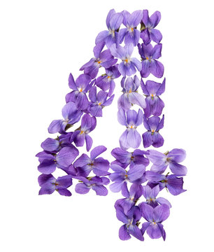 Arabic numeral 4, four, from flowers of viola, isolated on white background