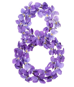 Arabic numeral 8, eight, from flowers of viola, isolated on white background