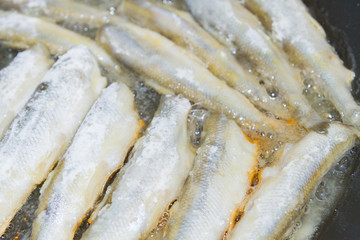 Cooking fried fish smelt rolled in flour