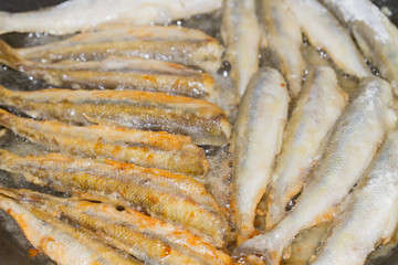 Cooking fried fish smelt rolled in flour