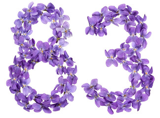 Arabic numeral 83, eighty three, from flowers of viola, isolated on white background