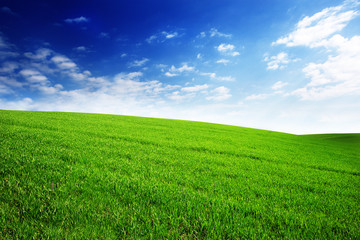 field with green grass and sky with clouds. Clean, idyllic, beautiful summer landscape with sun.