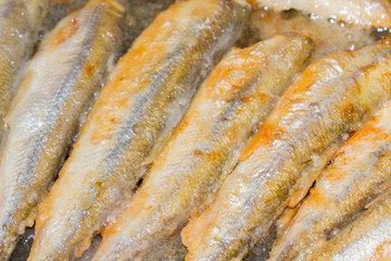 Cooking fried fish smelt rolled in flour