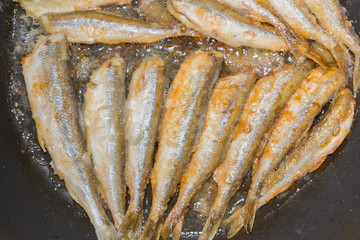 Cooking fried fish smelt rolled in flour