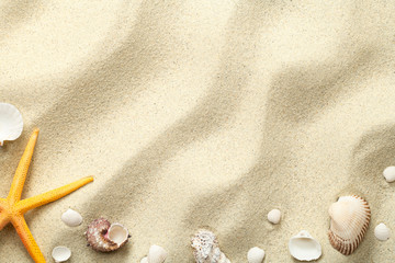 Fototapeta na wymiar Sand Background with Starfish and Shells