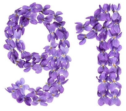 Arabic numeral 91, ninety one, from flowers of viola, isolated on white background