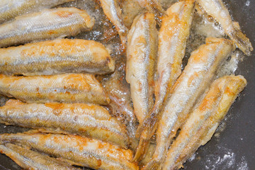 Cooking fried fish smelt rolled in flour