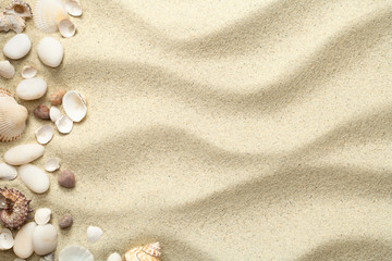 Sand, Beach Background with Shells and Stones