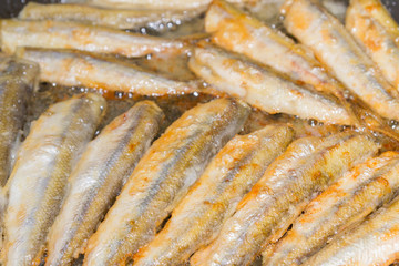 Cooking fried fish smelt rolled in flour