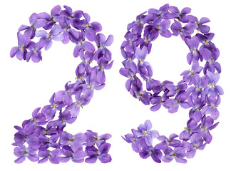 Arabic numeral 29, twenty nine, from flowers of viola, isolated on white background
