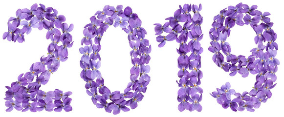 Numeral 2019 from flowers of viola, isolated on white background