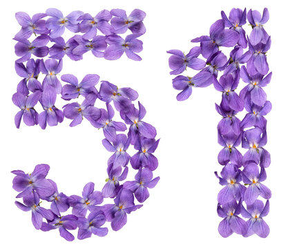 Arabic numeral 51, fifty one, from flowers of viola, isolated on white background