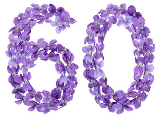 Arabic numeral 60, sixty, from flowers of viola, isolated on white background