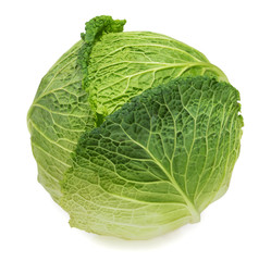 Savoy cabbage isolated on white background