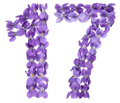Arabic numeral 17, seventeen, from flowers of viola, isolated on white background