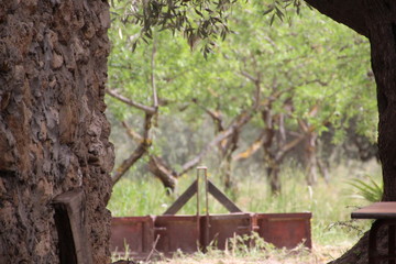 Tempo libero e natura