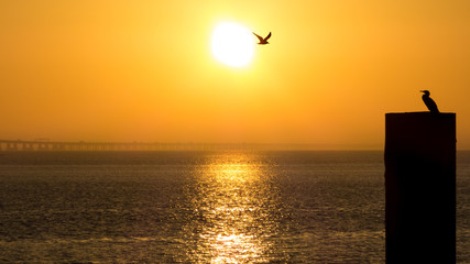 Sunrise at Lisbon