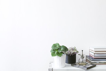 The minimalistic and modern home interior with plants and vintage sprinkler on the shelf. White background wall with copy space.