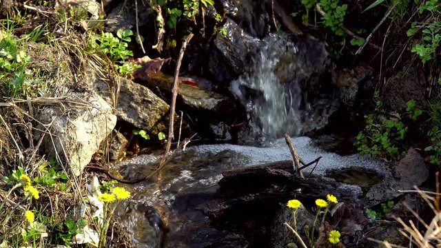 A stream, water flowing down a stony surface, feeding plants with moisture