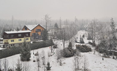 Village in winter -  snow, buildings and trees with a forest and fog in the background