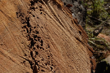 texture