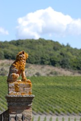 イタリア、トスカーナの秋のぶどう収穫風景