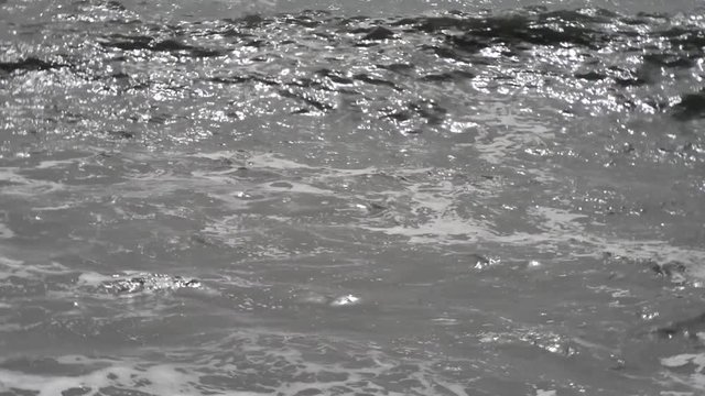 Mare in tempesta con forte movimento ondoso spinto da forti raffiche