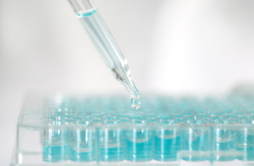 Close up a scientist working in laboratory to analyze blue extracted of DNA  molecules in a micro tube plate , clinical or science testing analysis concept